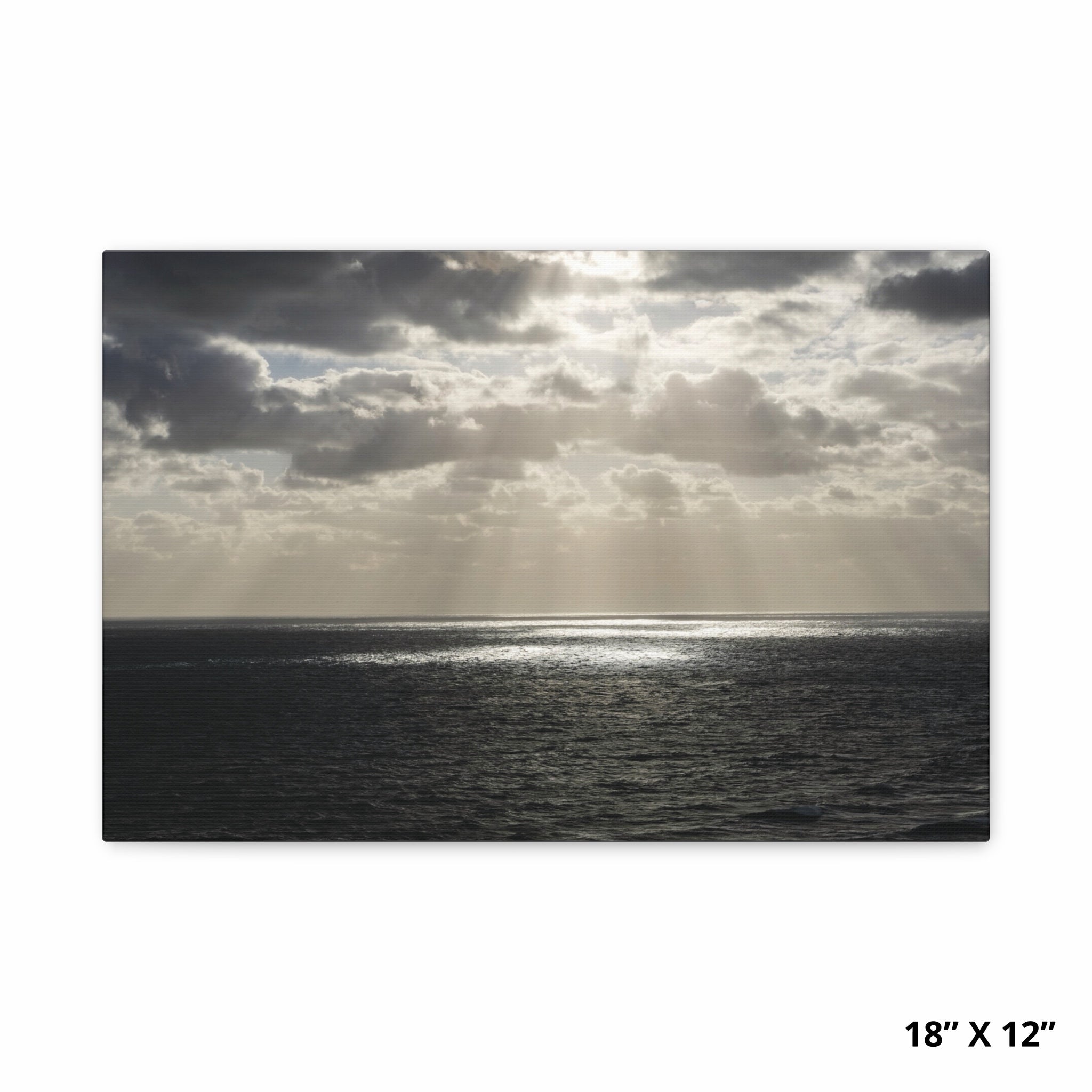 Light through the storm | Palm beach Collection