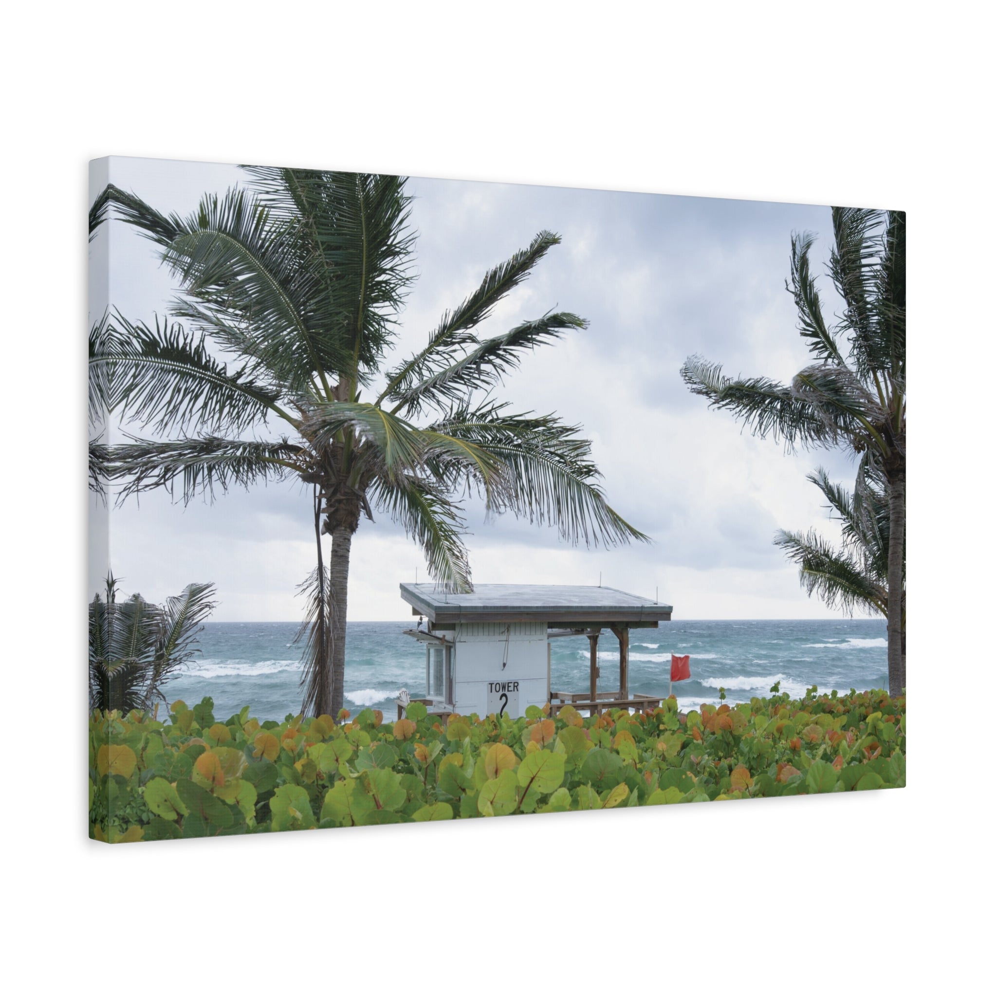 Red Flag Horizon | Palm Beach Collection