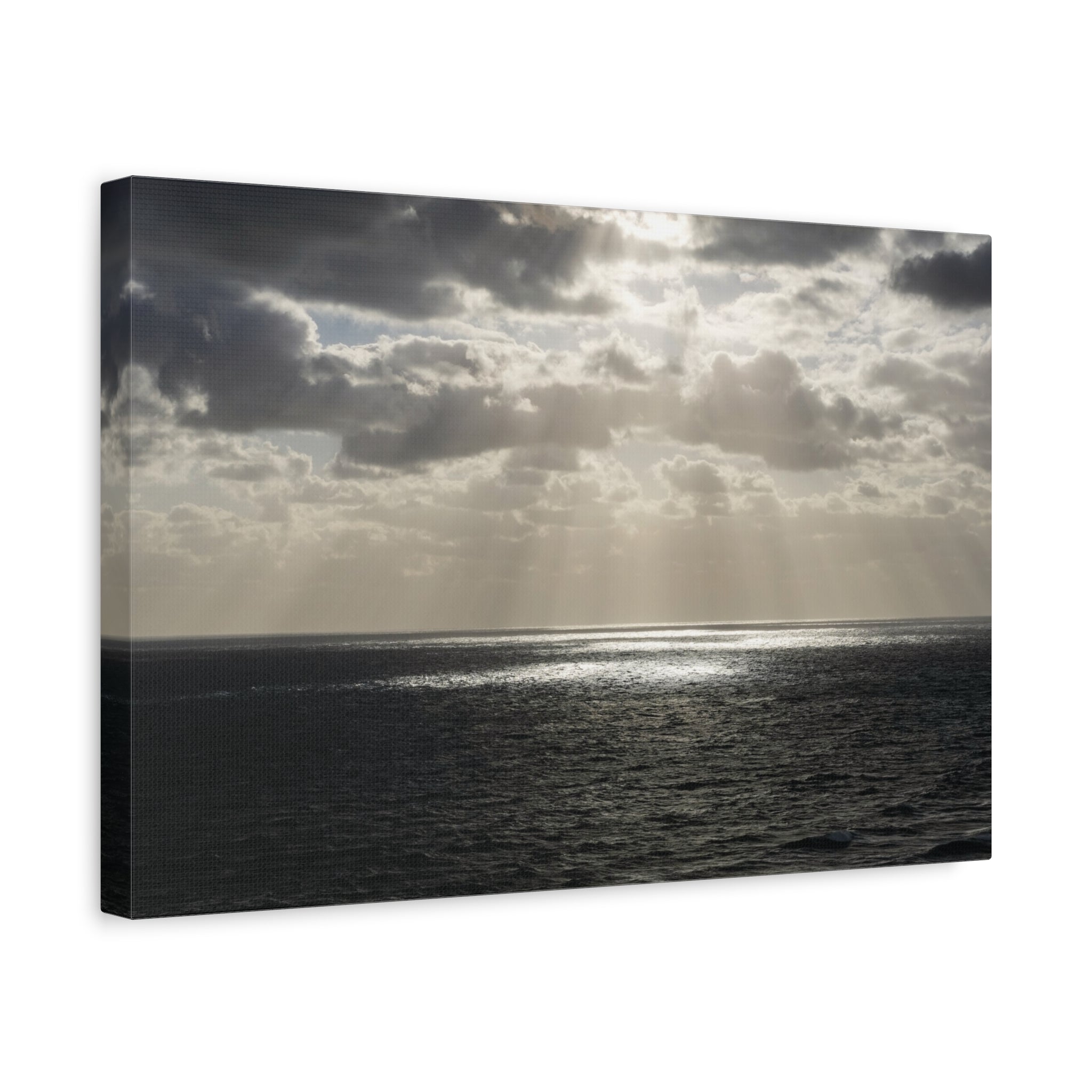 Light through the storm | Palm beach Collection