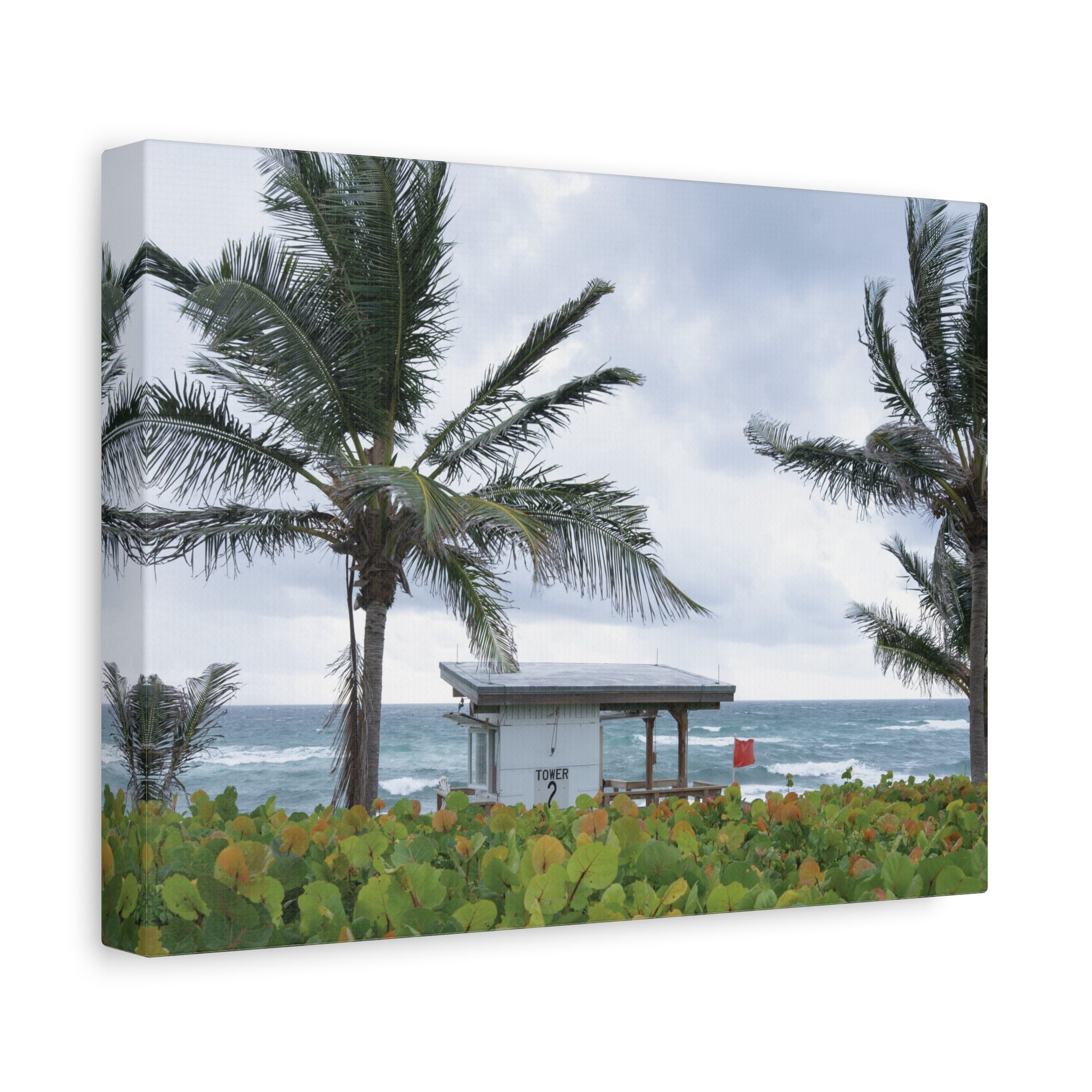 Red Flag Horizon | Palm Beach Collection