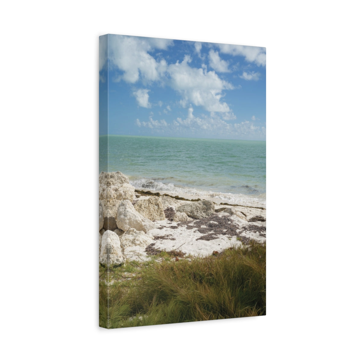 Sea Oats & Stone | Florida Keys Collection