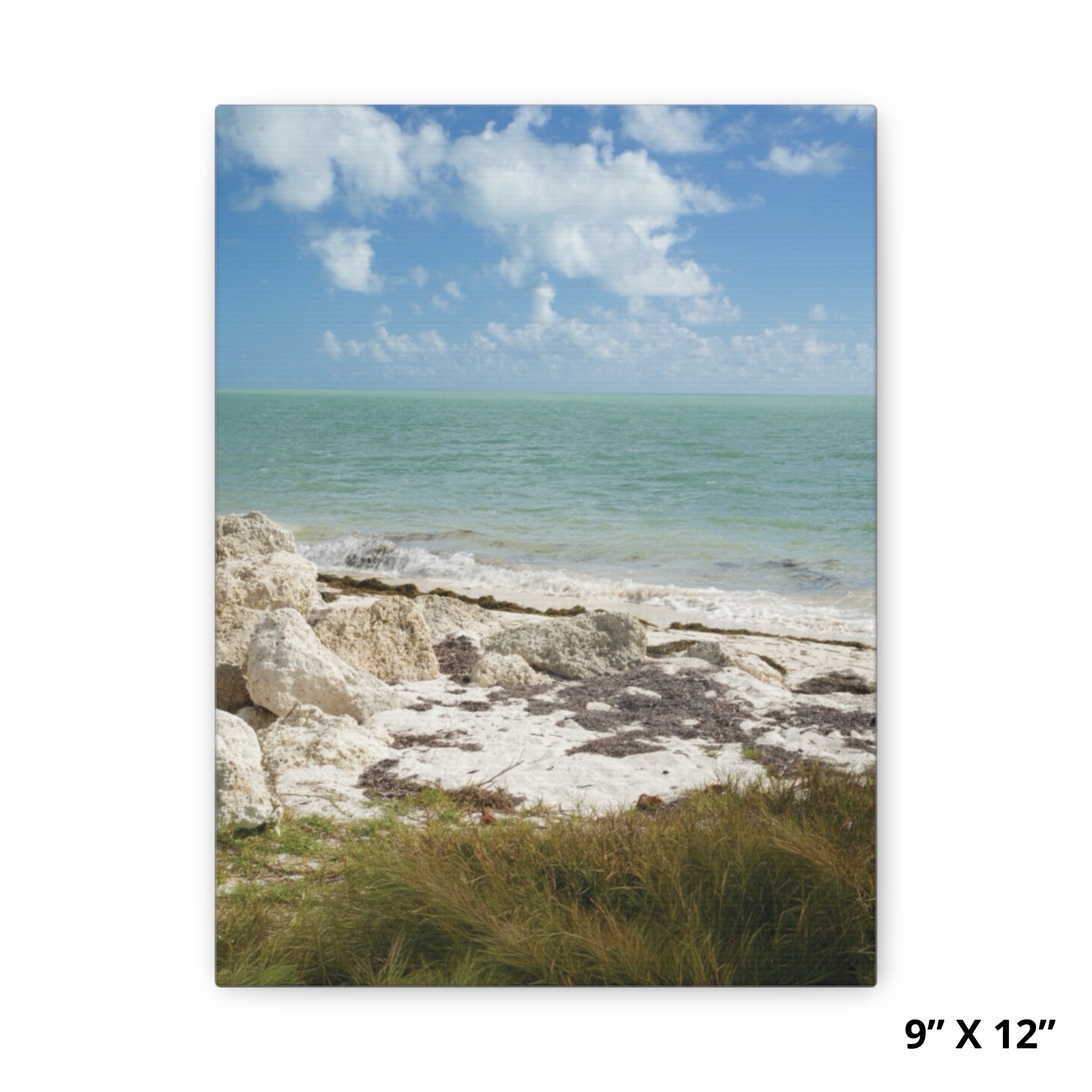 Sea Oats & Stone | Florida Keys Collection