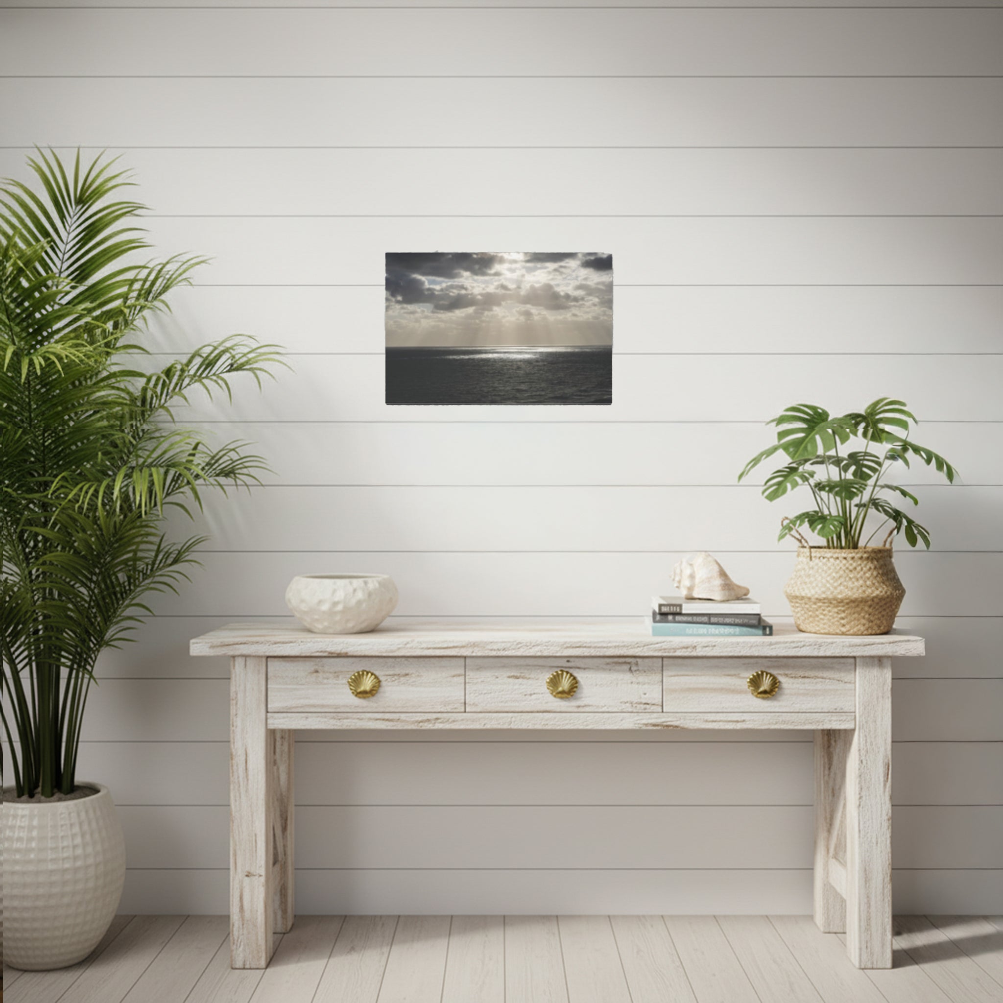 Light through the storm | Palm beach Collection