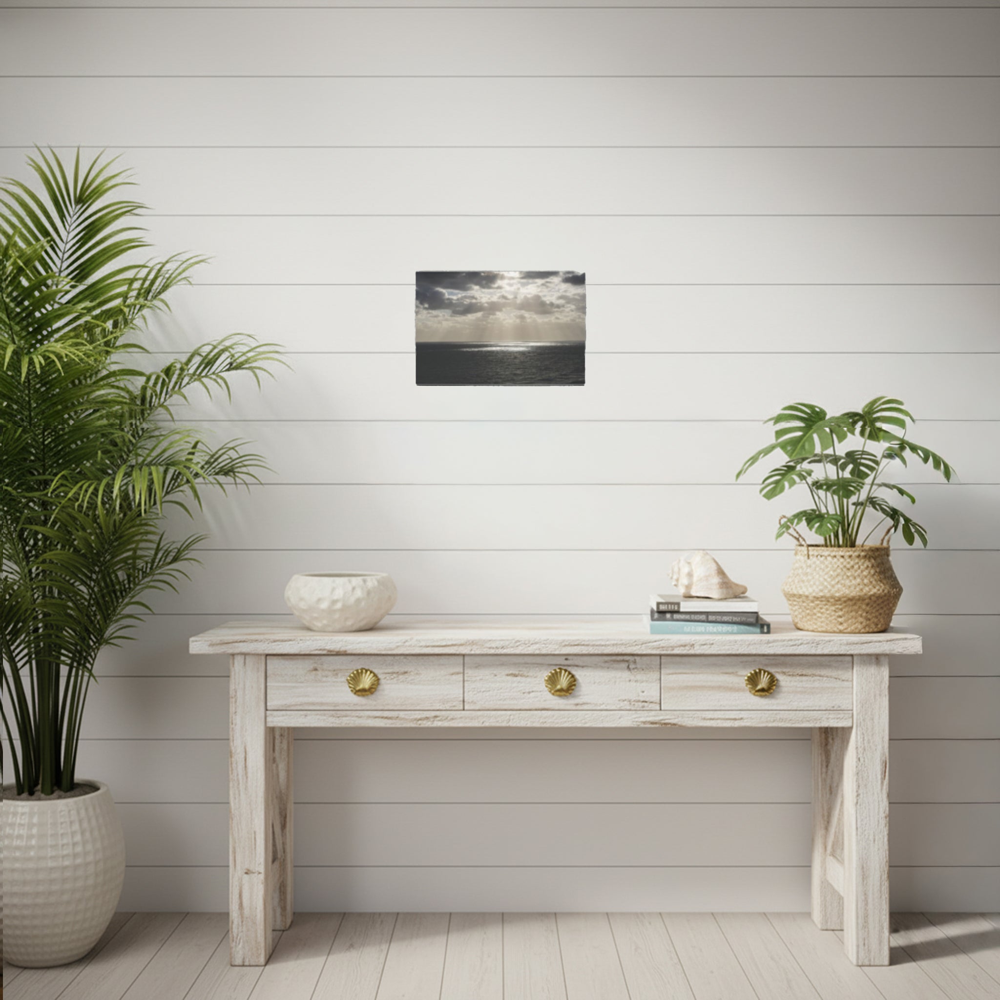 Light through the storm | Palm beach Collection