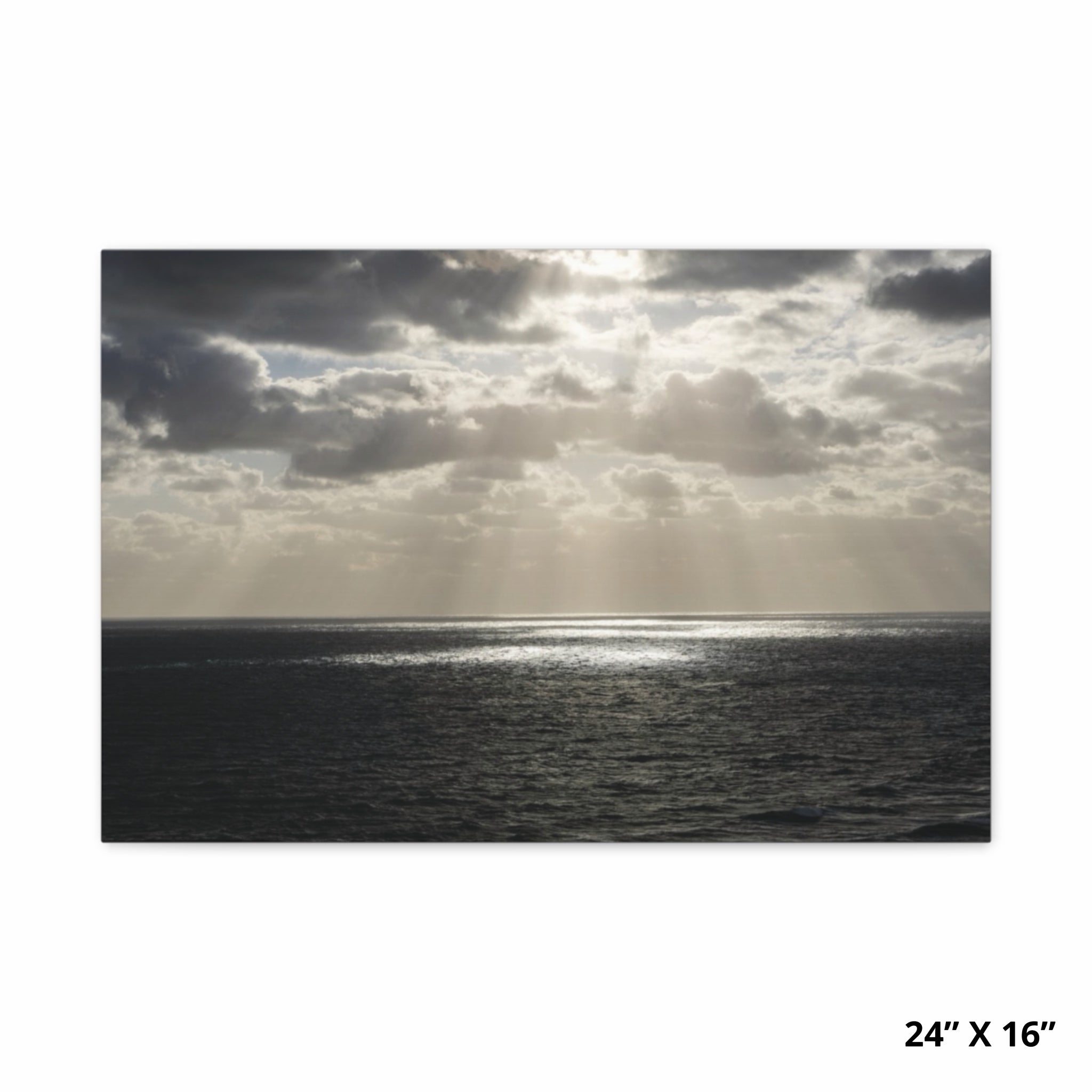 Light through the storm | Palm beach Collection
